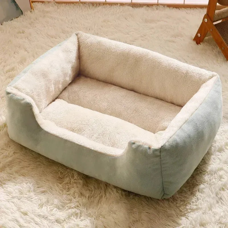 Soft grey short plush cat bed for a sleeping kitten