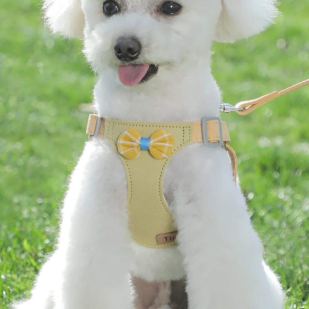 Dog hand holding rope vest small dog chest harness set in beige dots flowers with traction rope