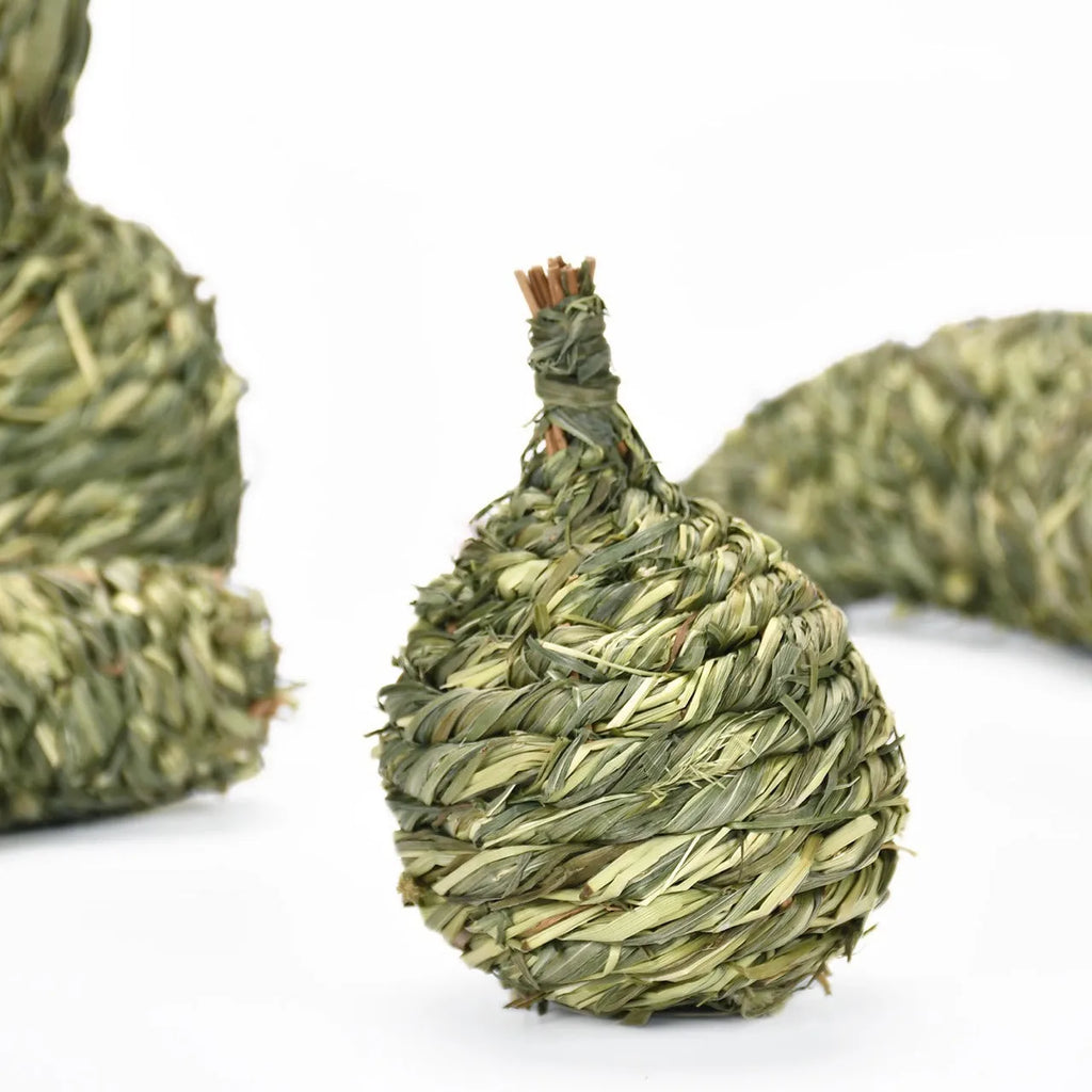 Natural timothy grass pet toy shaped like an eggplant, on a light background