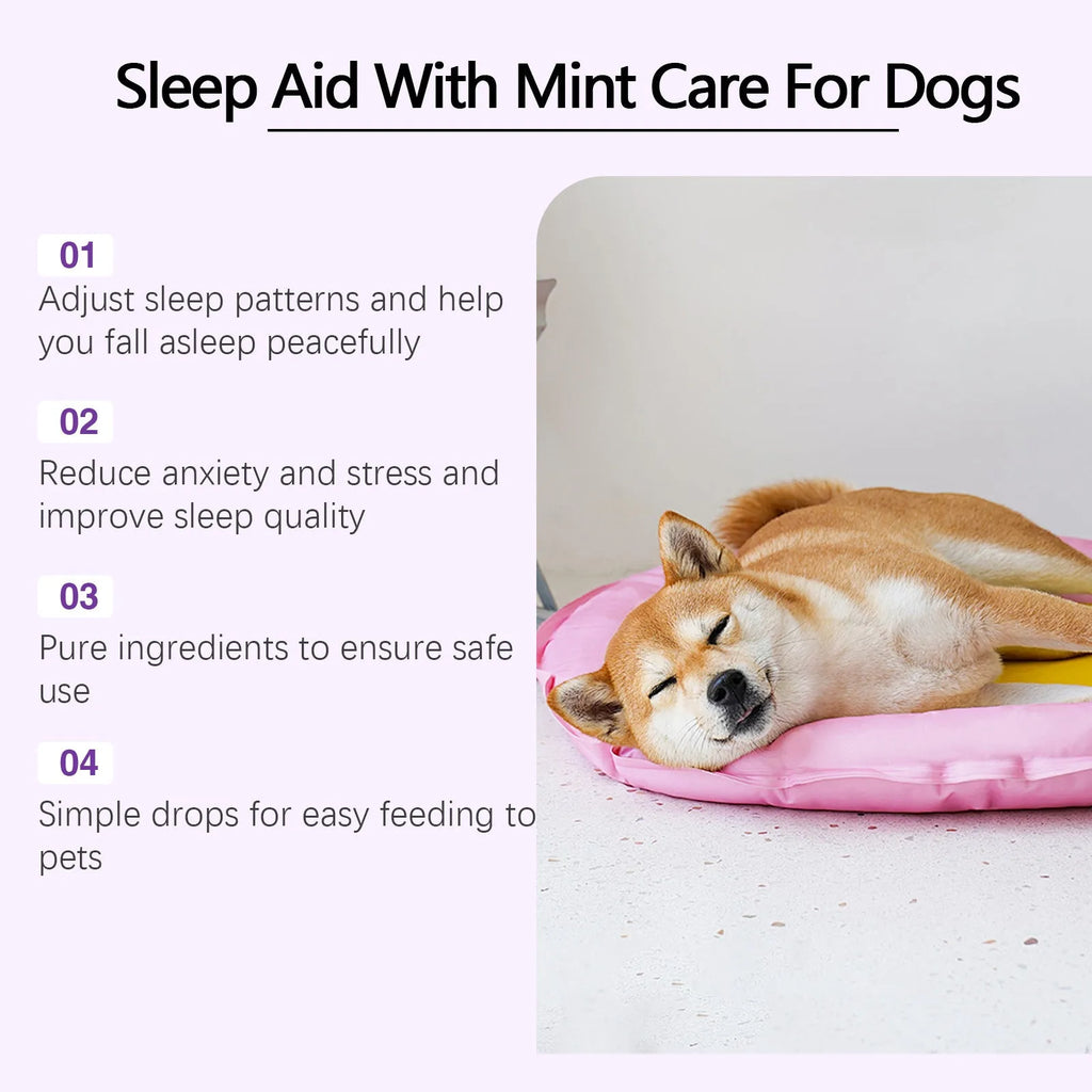 60ml dog sleep drops bottle with natural mint extract formula for nighttime canine calm