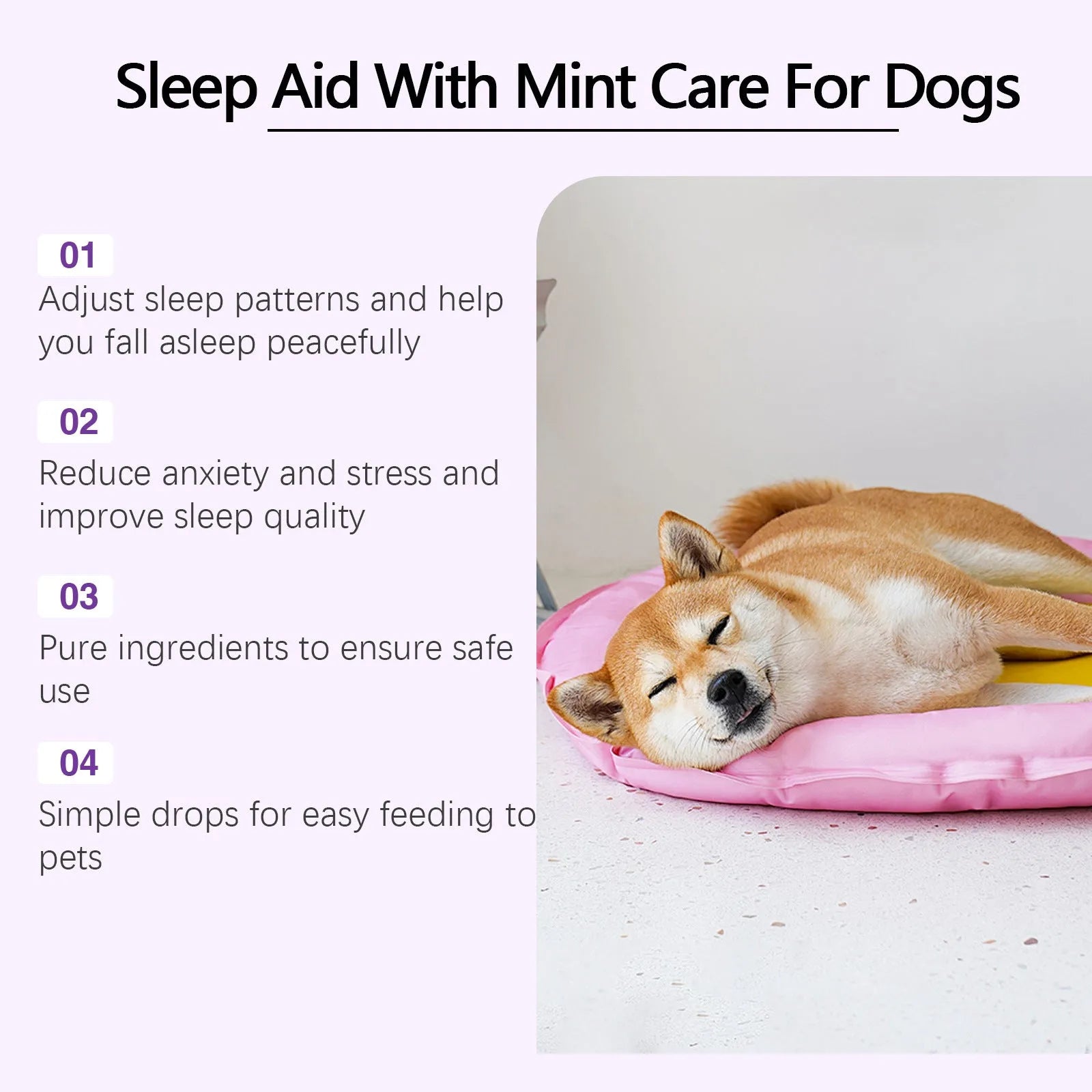 60ml dog sleep drops bottle with natural mint extract formula for nighttime canine calm