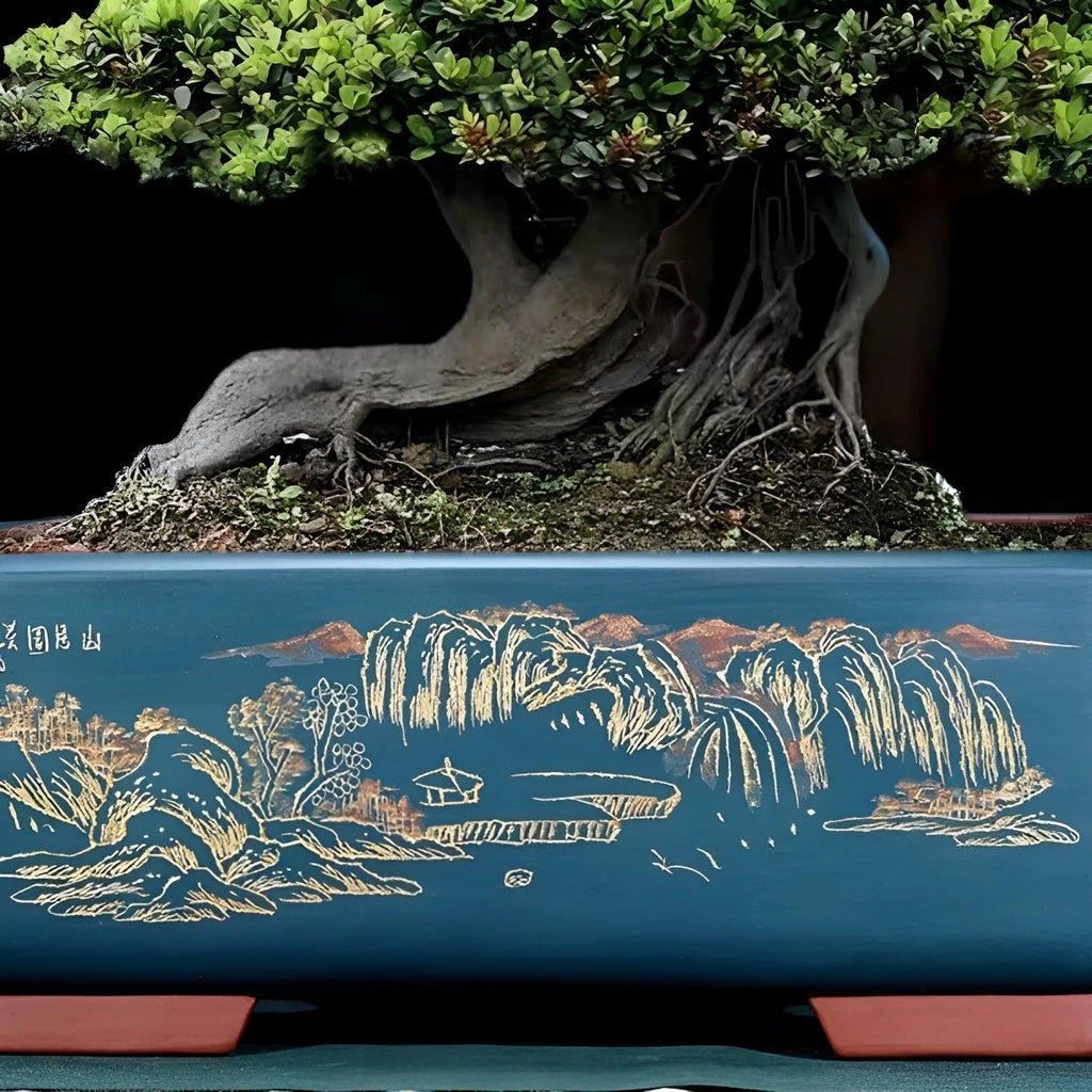 Handmade rectangle purple clay bonsai pot in large size for banyan tree or luohansong display.