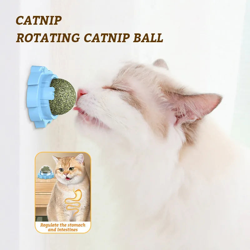 Orange molar-shaped cat toy with dental cleaning ridges and catnip infusion