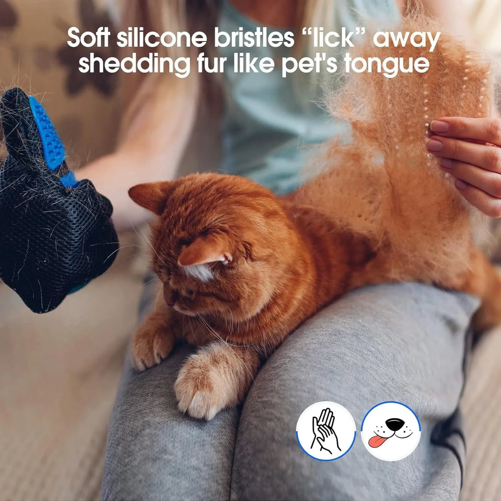 Blue silicone pet grooming gloves with 255 massage tips for dogs and cats