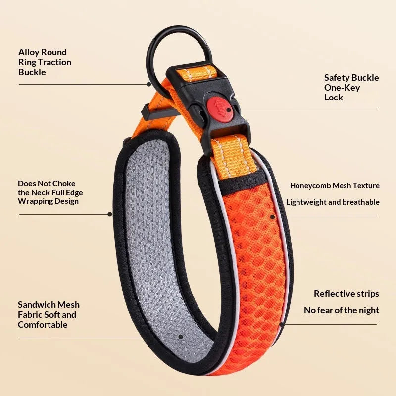 Acrylic dog collar with colour grid pattern in orange, blue and red, size adjustable for small and large breeds