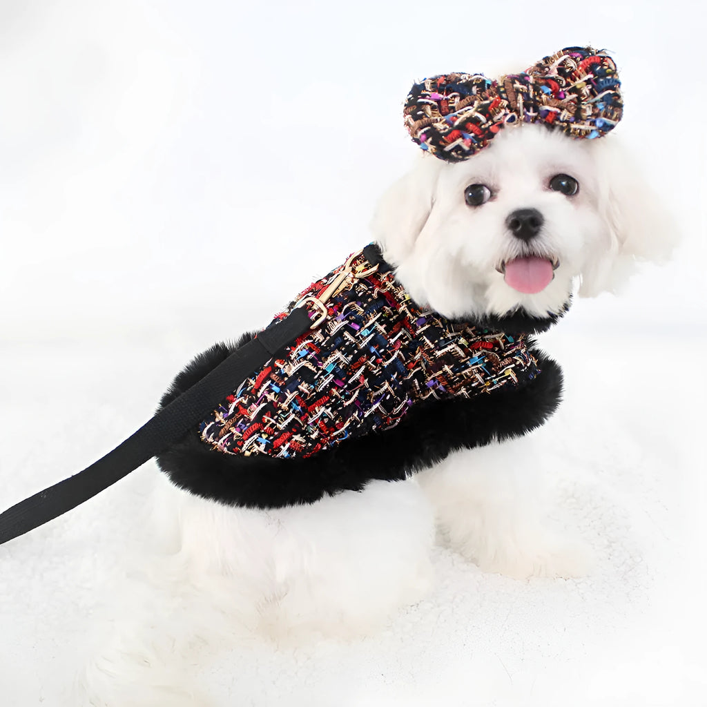 Classic cloth dog cloak attached to a chest harness with a hand-held traction rope lead.