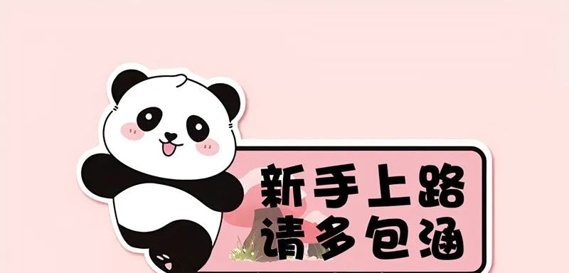 Reflective beginner driver car sticker with bear design for female motorists measuring 23 by 12 centimetres