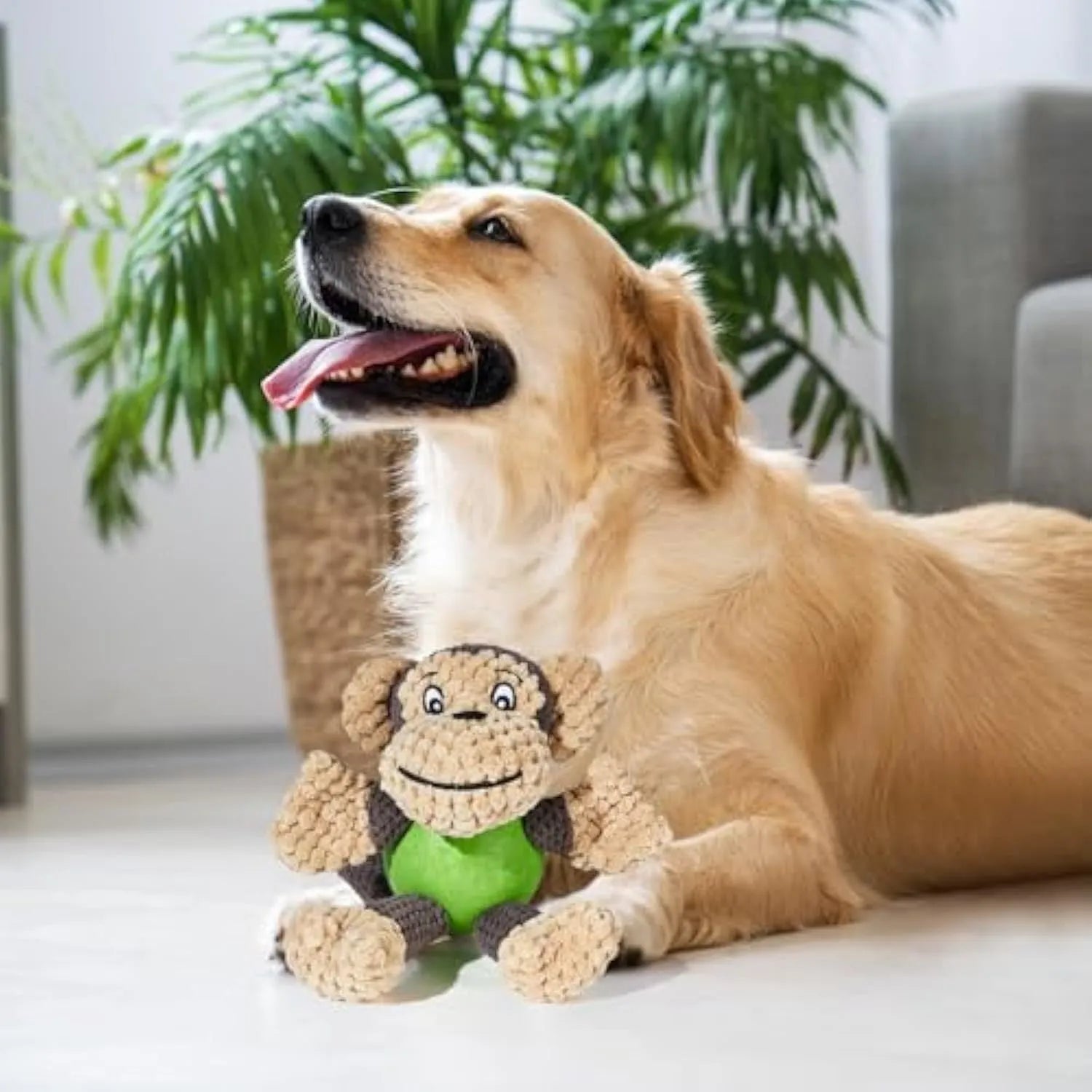 Cartoon monkey plush dog toy with soft fabric and squeakers for small medium breed dogs