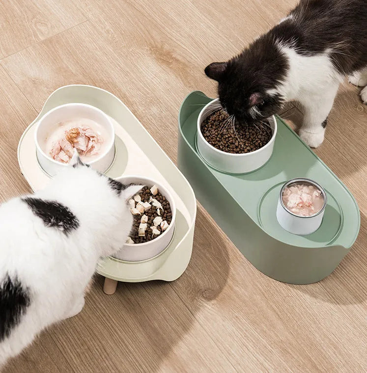 Green and white tilted pet feeder with two bowls for cats and dogs on a non-slip base.