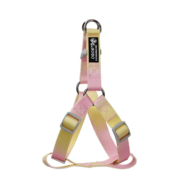 Gradient colour nylon dog leash showing pink-blue pattern with collar attachment