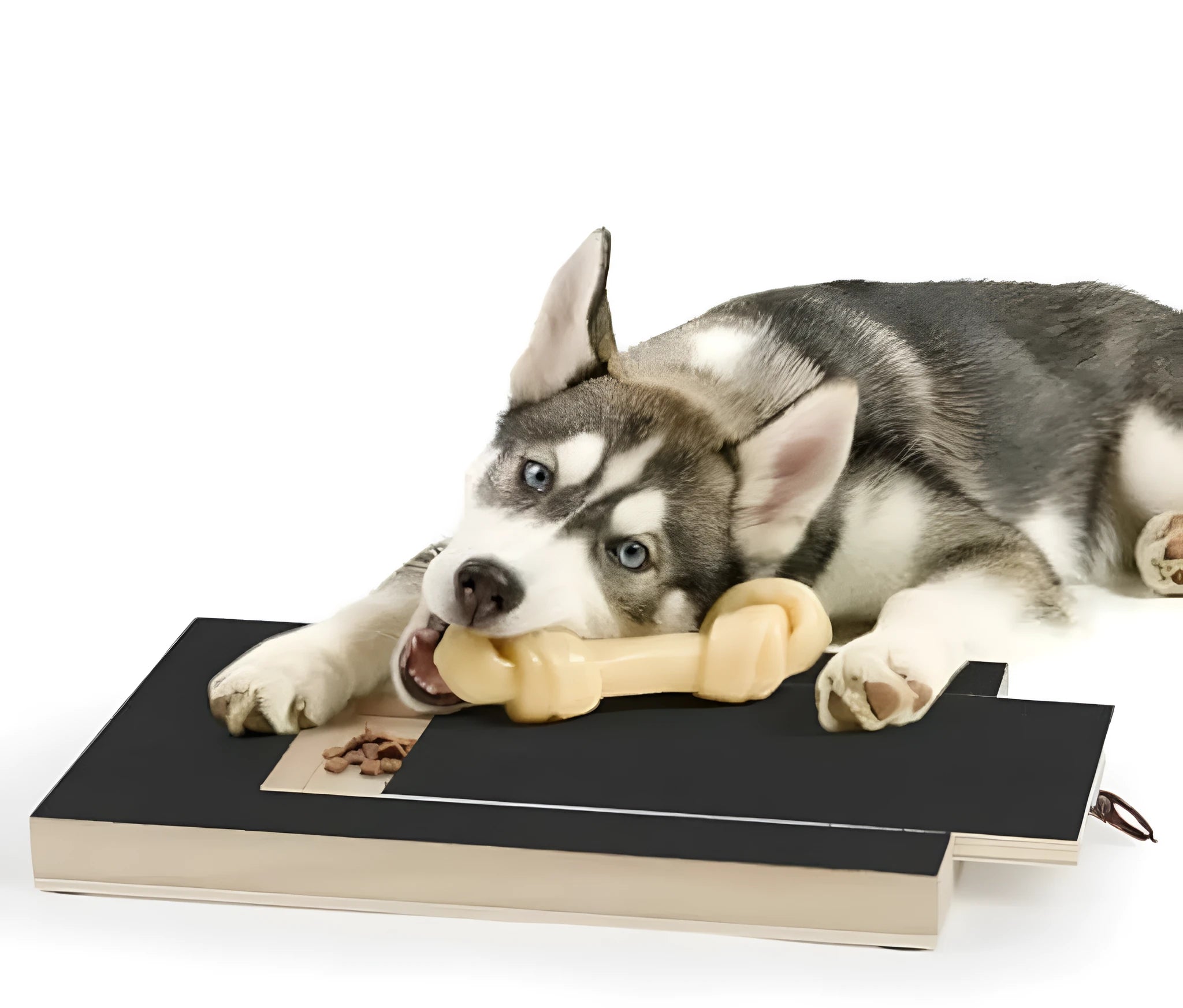 Wooden dog nail scratch board with treat drawer and four non-slip pads on a floor.