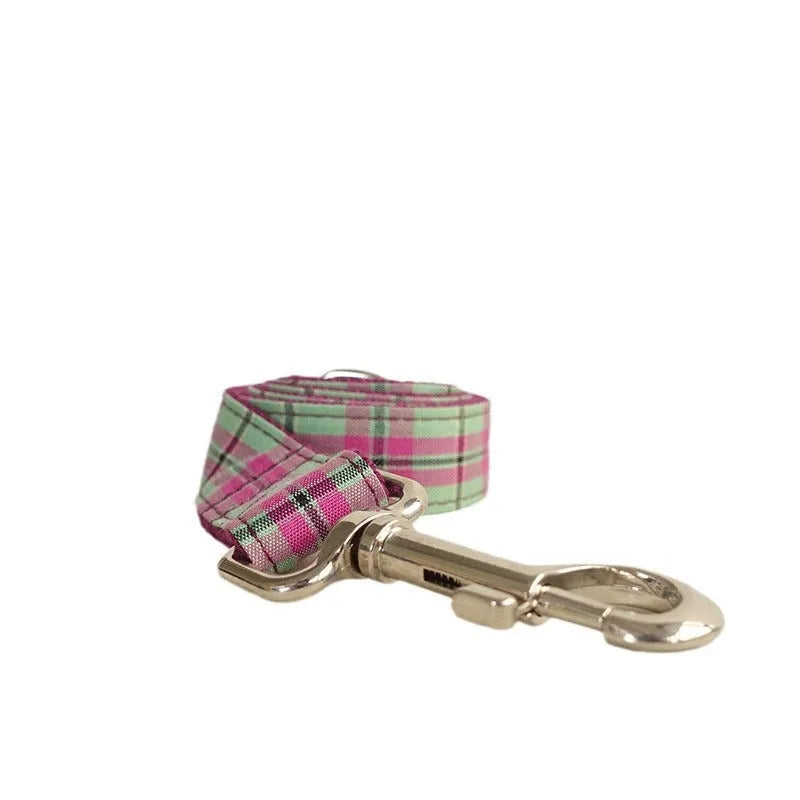 Mint green dog collar and matching leash made from tear-resistant polyester.