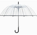 Transparent umbrella with long handle showing 16-rib construction and black steel frame