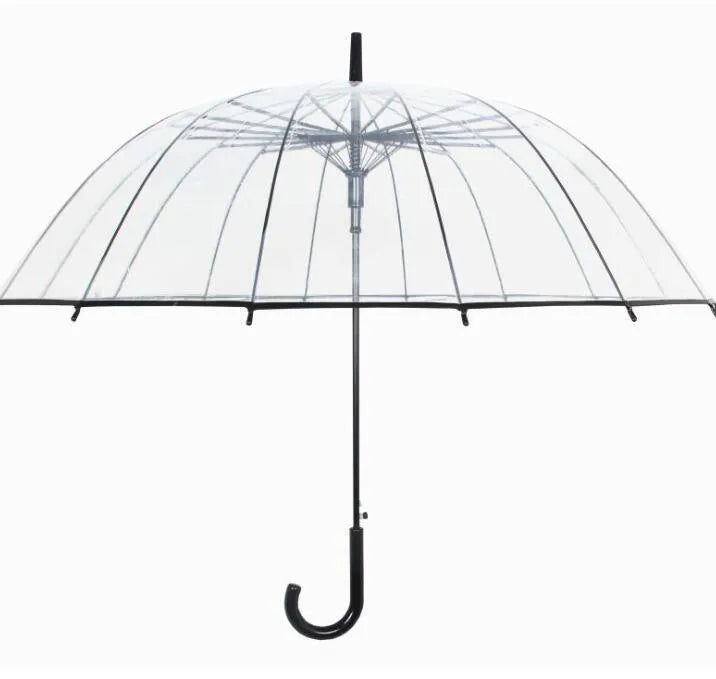 Transparent umbrella with long handle showing 16-rib construction and black steel frame