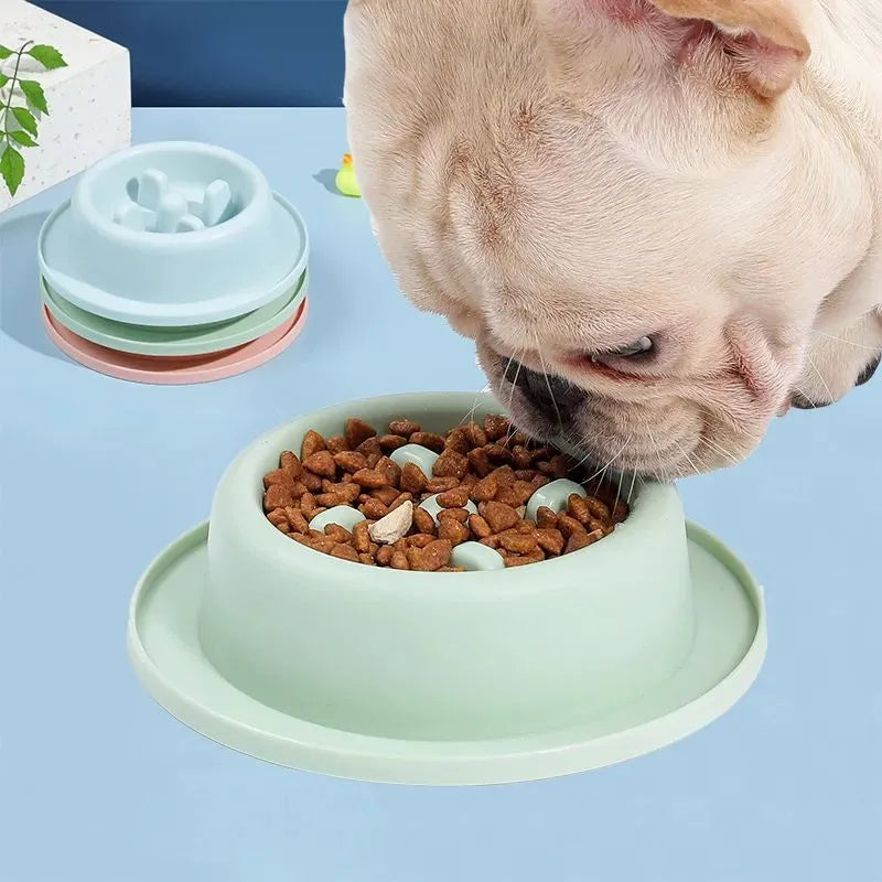 Blue slow feeder dog bowl with raised obstacles and non-slip base for small medium dogs