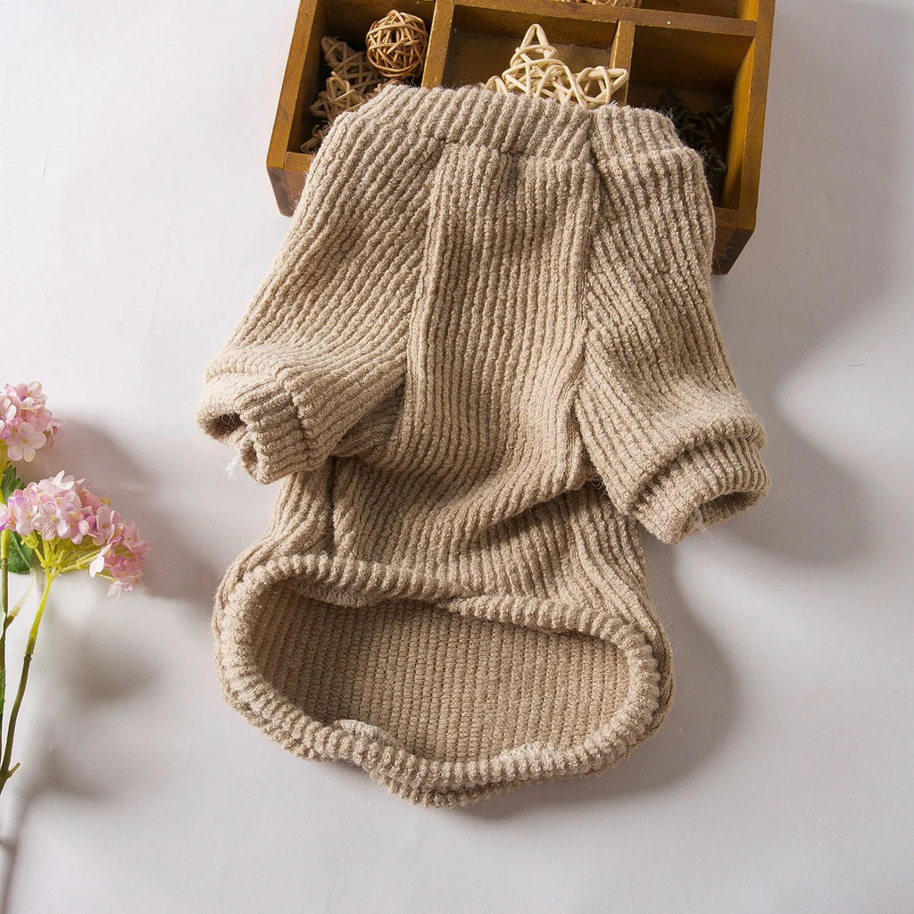 Brown cloth dog pullover sweater on a small white dog, showing casual style.