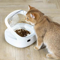 Smart pet feeder in white plastic with food bowl and ice box for cats