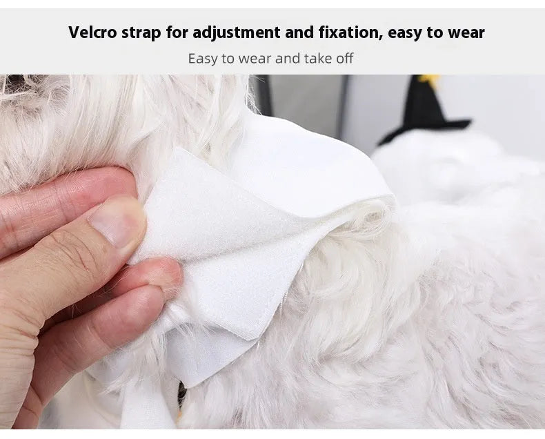 White pumpkin ghost dog costume in viscose material shown on pet model