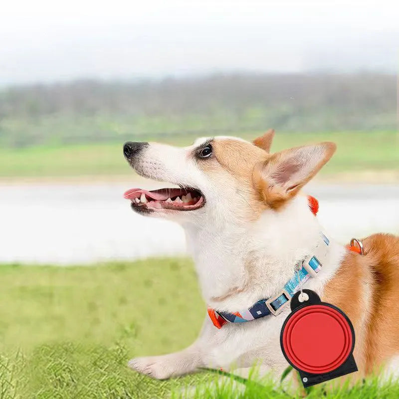 Folding silicone double pet bowl shown in expanded and collapsed positions with anti-slip base