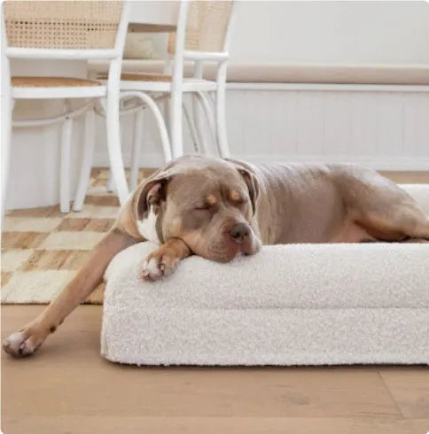 Rectangular pet sofa bed with thickened mattress, cloth cover, in a colour option suitable for dogs