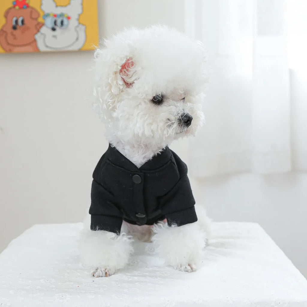 Casual pet sweater with kiss pattern design for dogs and cats in autumn winter wear