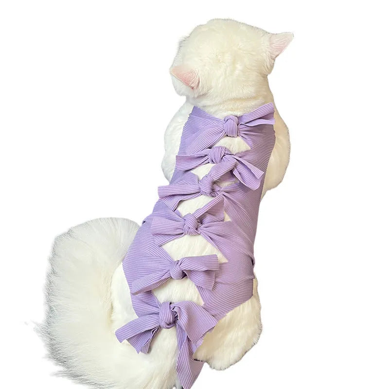 Blue lace-up cat recovery suit on a tabby cat, showing the adjustable back closure and full-body coverage.