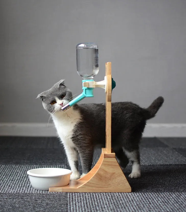 Cat drinking water dispenser with 300ml plastic container on bamboo holder