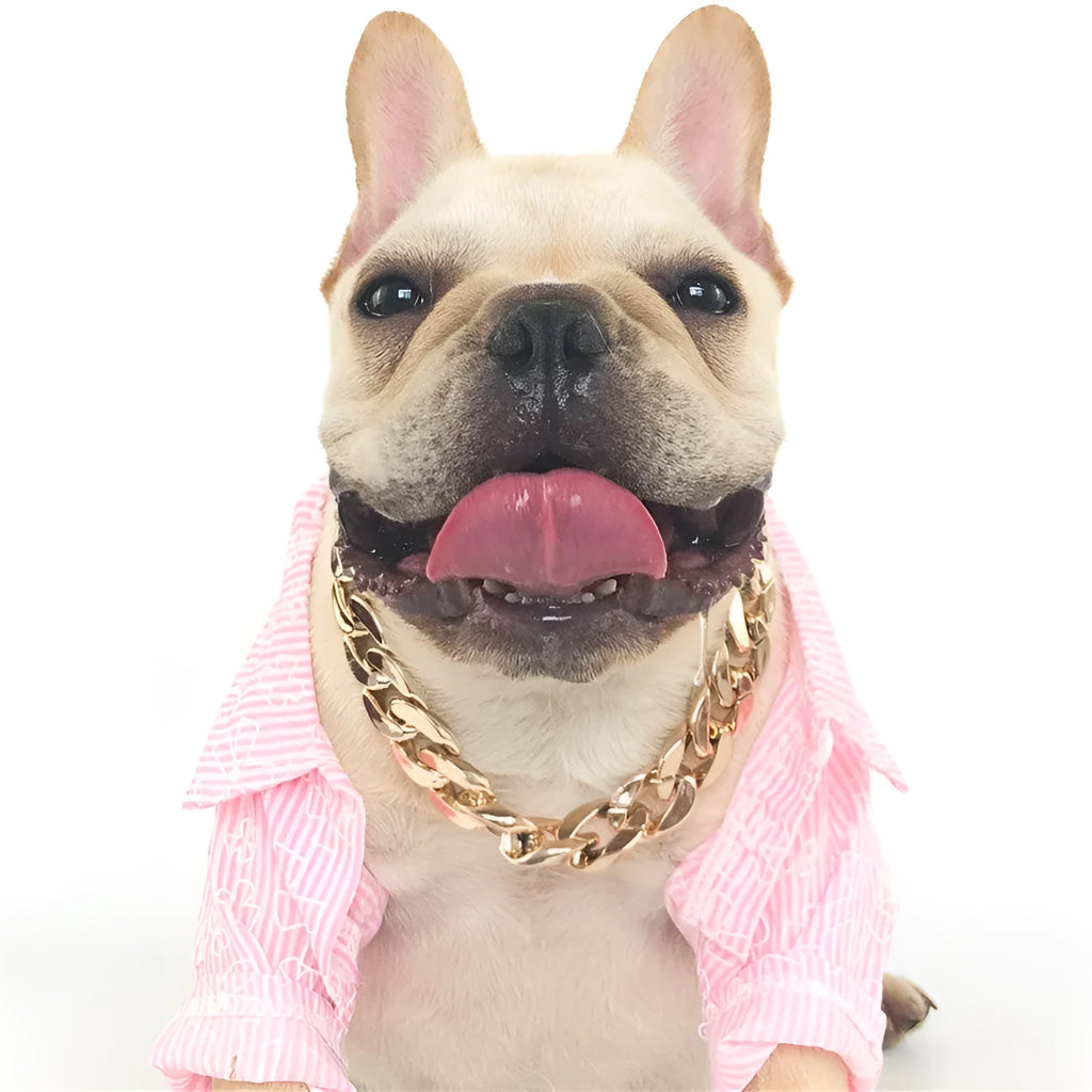 Gold colour chain style dog collar with geometric resin design and buckle closure for small medium dogs