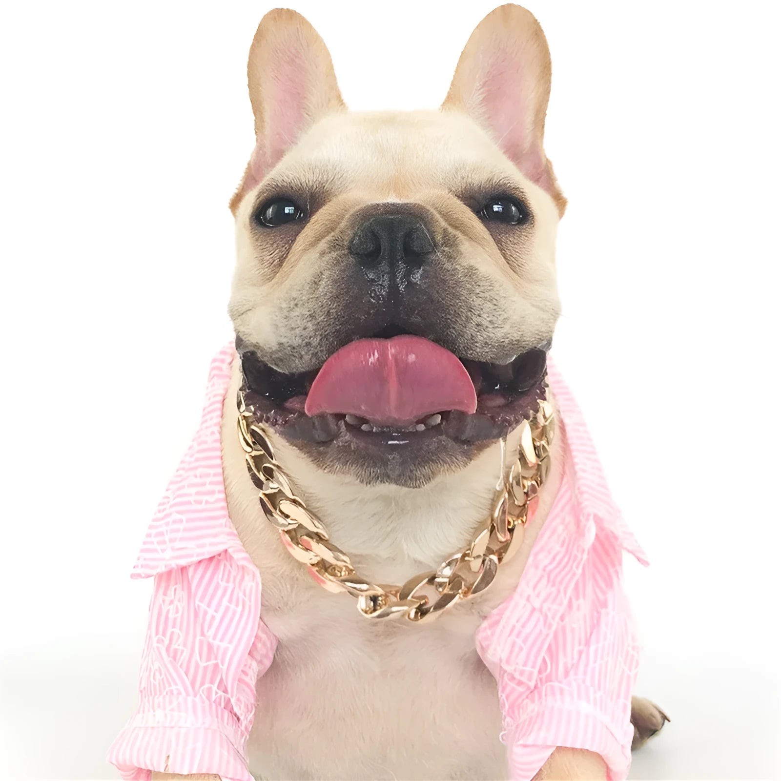 Gold colour chain style dog collar with geometric resin design and buckle closure for small medium dogs