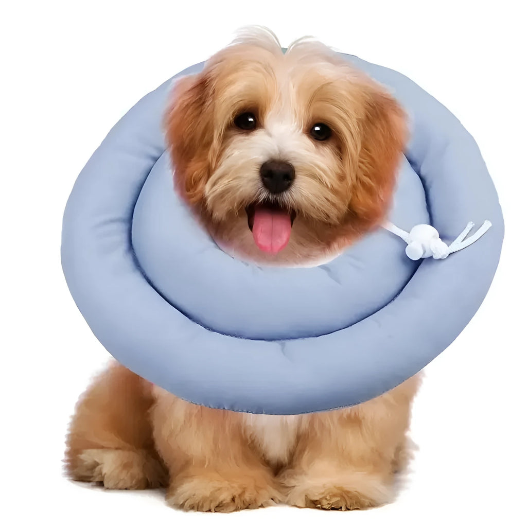 Adjustable waterproof Elizabethan recovery collar for dogs and cats in blue, shown with size chart