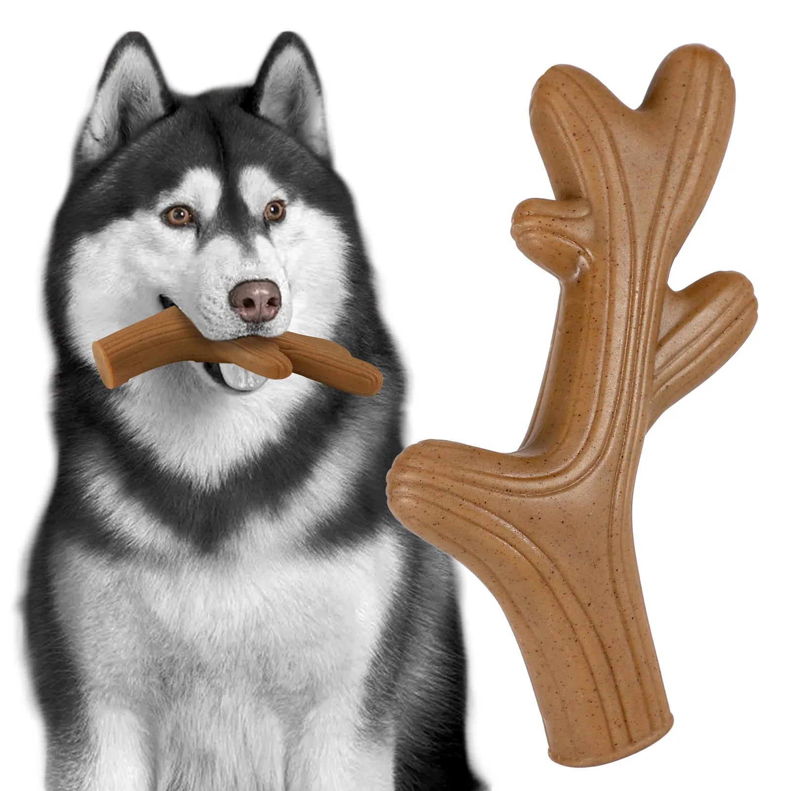 Nylon dog chewing toy in antlers beef flavour on a light background
