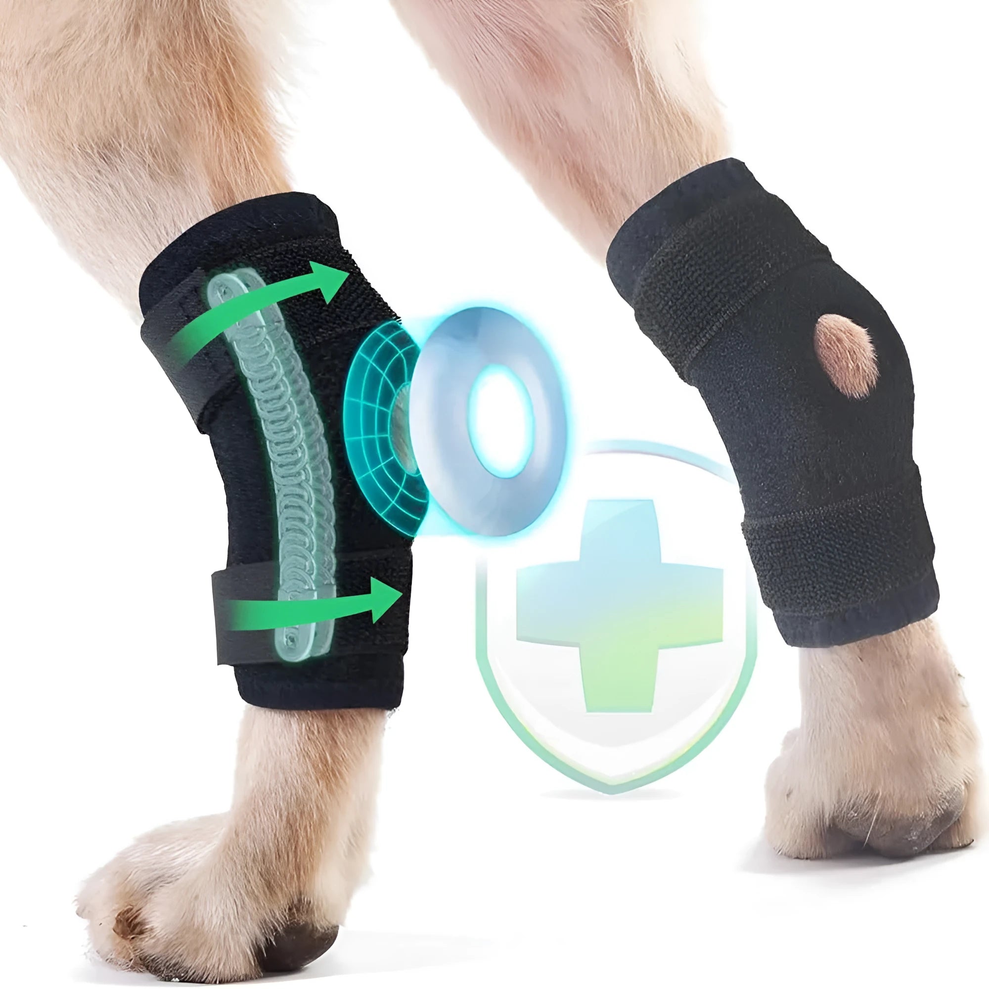 Black neoprene dog rear leg auxiliary strap with Velcro fasteners on white background