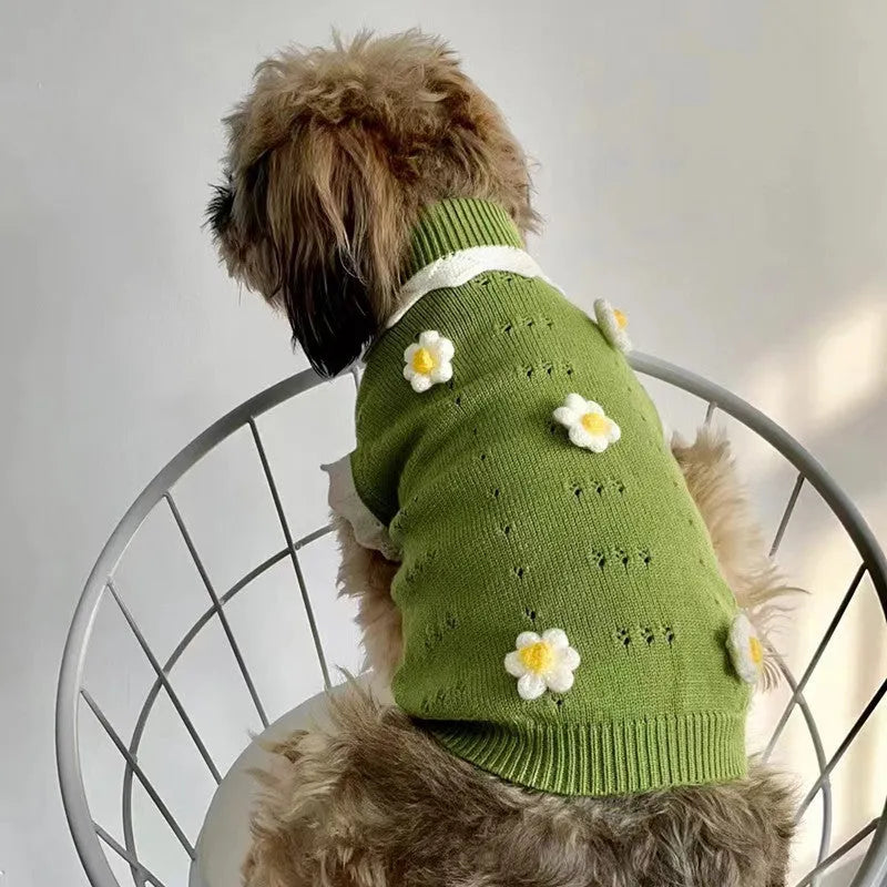Green and pink blossom flower patterned sweater for a small dog on a sofa.