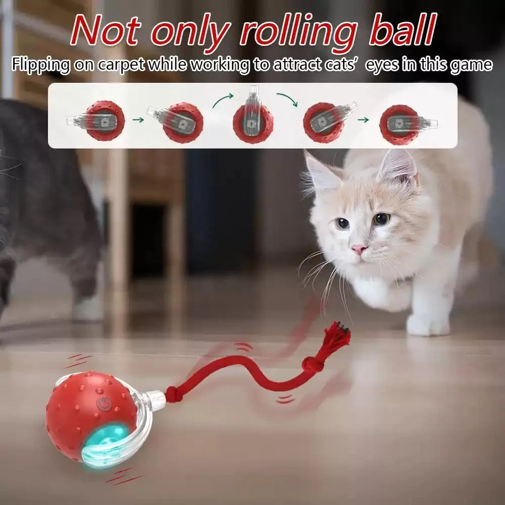 Blue and red interactive cat rolling ball toy for indoor feline enrichment