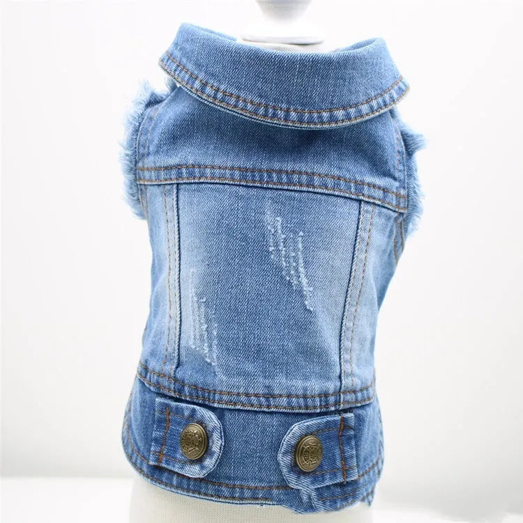 Small dog wearing a denim vest with a retro scratch pattern design.
