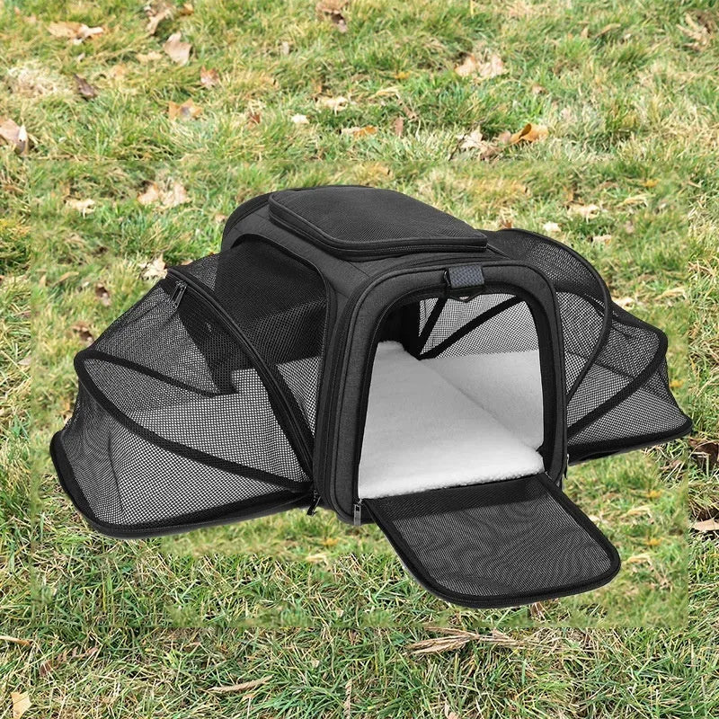 Black 600D cation fabric cat carrier bag with red piping shown in large size