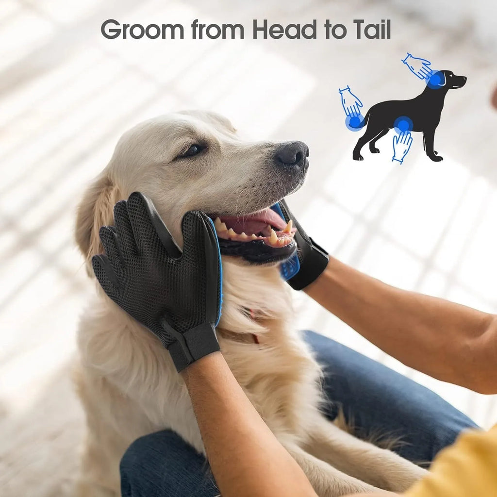 Blue silicone pet grooming gloves with 255 massage tips for dogs and cats