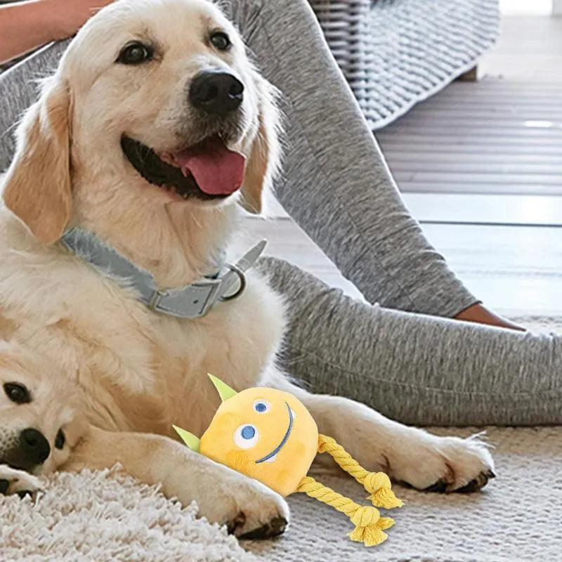 Blue and yellow dog squeaky toy with knot design made from cotton rope and PP cotton filling