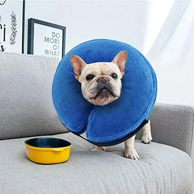 Blue inflatable recovery collar for dogs and cats with size chart showing measurements