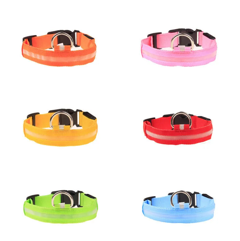 LED luminous pet dog collar in blue light on a dog, showing the illuminated strap