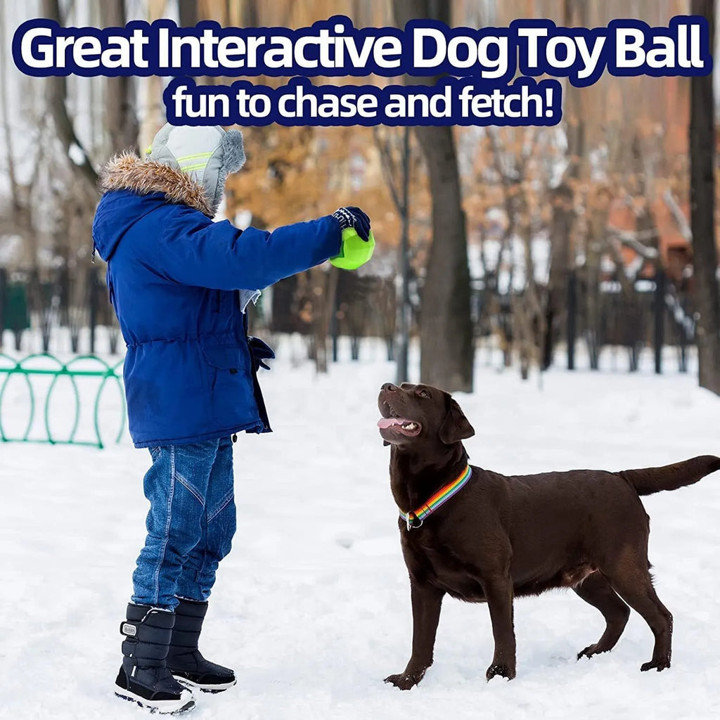 Green beef-flavoured natural rubber squeaky ball dog toy for large breed chewing.