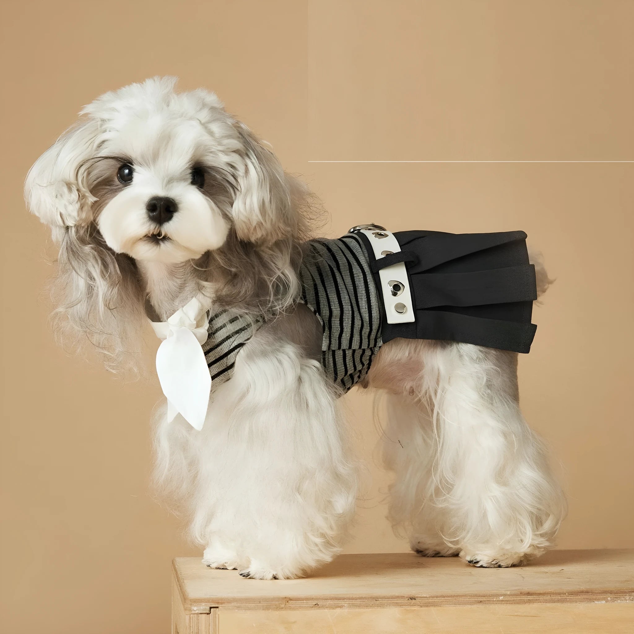 Striped dog dress for female dogs in polyester material, sizes XS to XXL, spring summer casual style