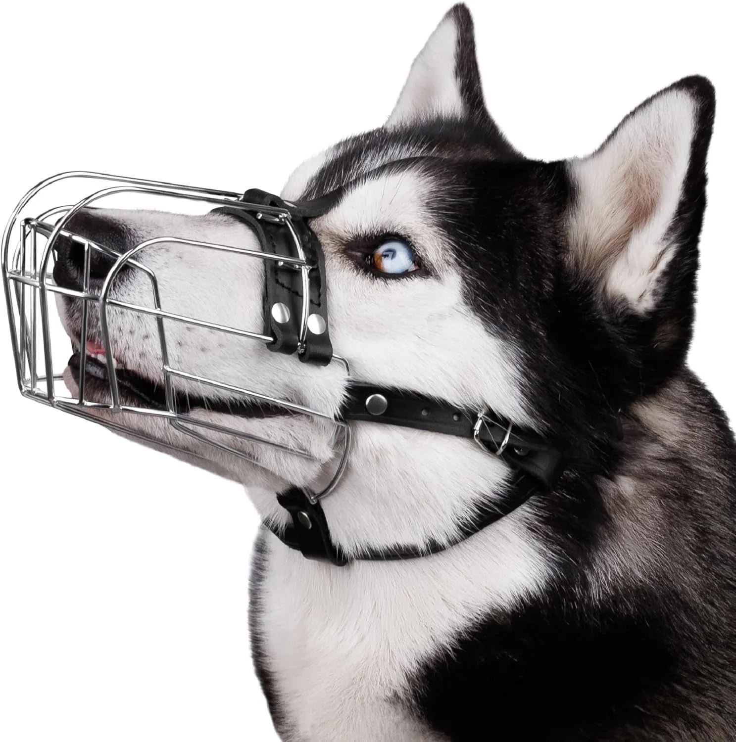 Black metal wire basket dog muzzle shaped for a golden retriever or German shepherd, showing adjustable strap and buckle.