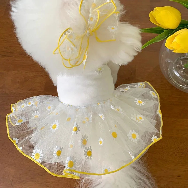 Yellow daisy print polyester dog summer clothes available in five sizes