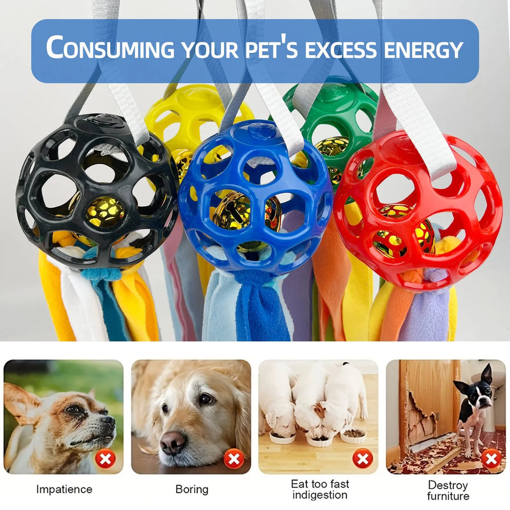TPR hollow pet ball with bell in five colours: black, blue, green, red, yellow