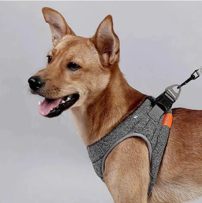 Dog rope collar in hemp gray cloth with carabiner, adjustable size XS S M