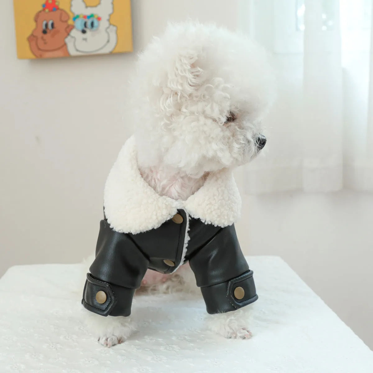 Beige fleece lined padded dog coat in large fur coat style on a mannequin, size label shown.