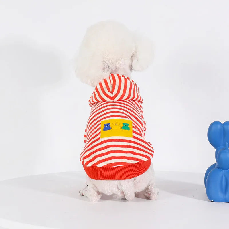 Orange cotton hooded sweater for dogs in Japanese and South Korea style on various breed sizes