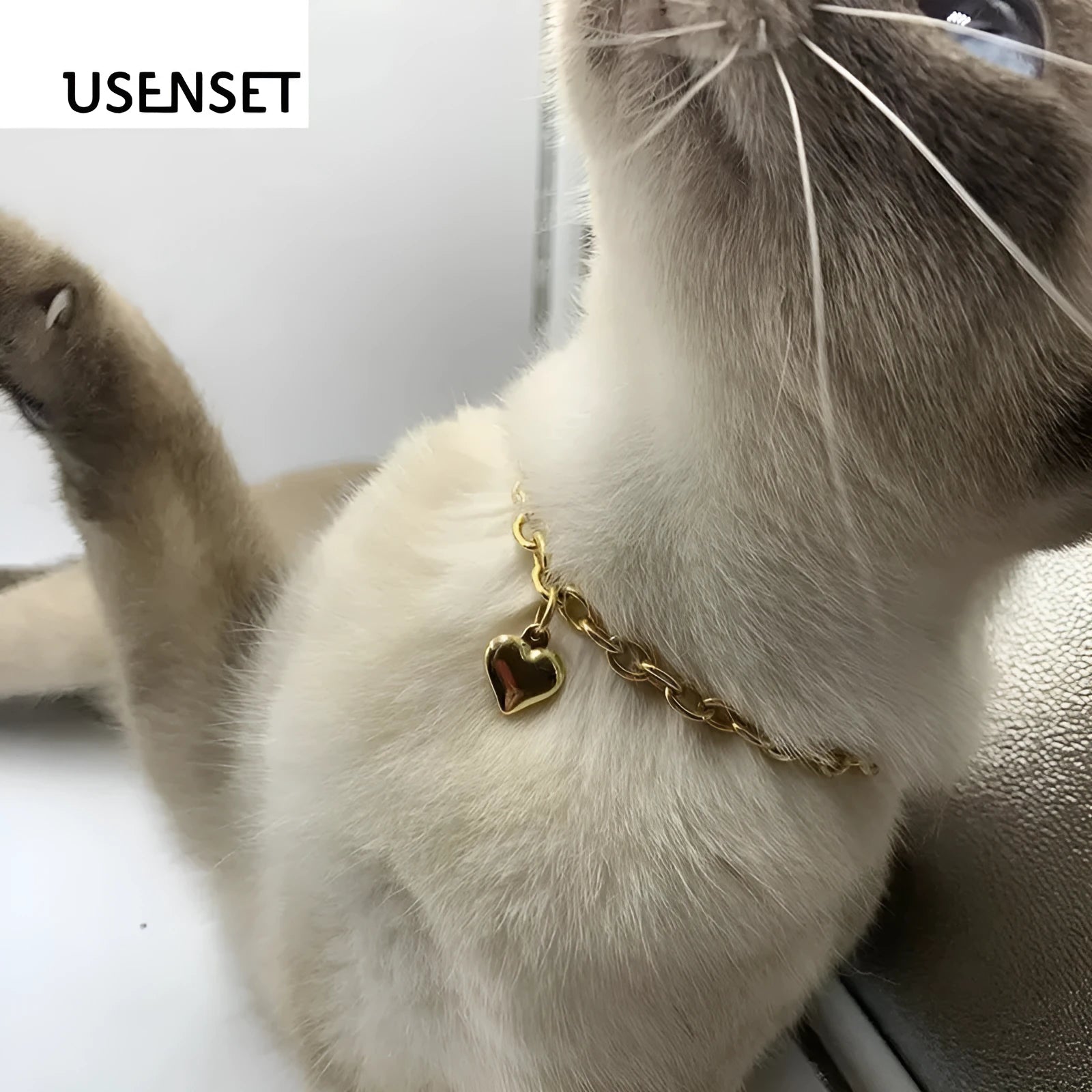 Stainless steel pet necklace with heart pendant showing cat and dog motifs on gold and silver curb chains