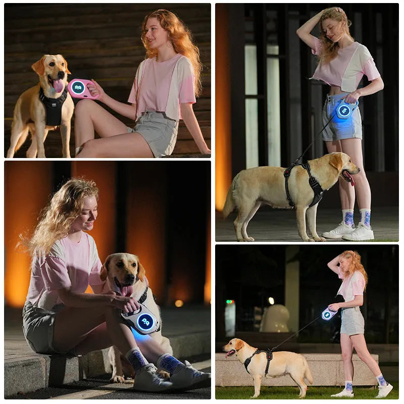 LED retractable dog leash 5m USB rechargeable in sky blue with ABS TPU PC silicone housing